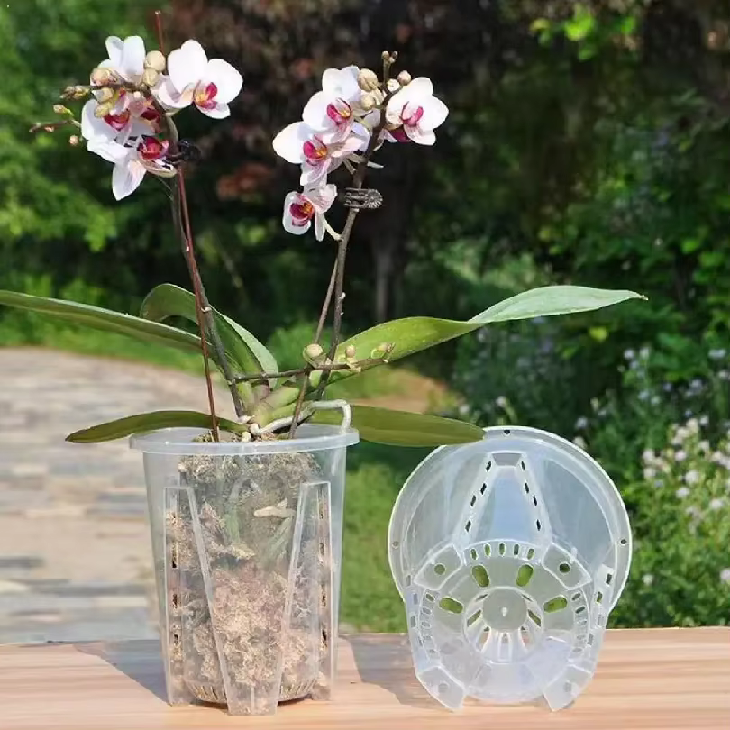 Pot de fleurs transparent en plastique pour le contrôle des racines