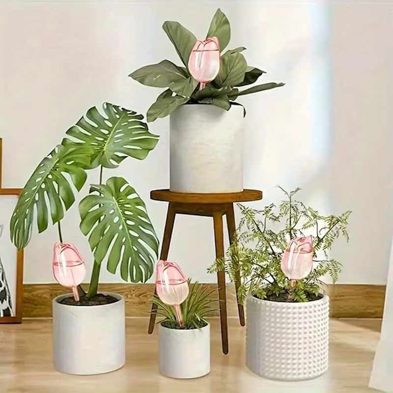 Dispositif d'arrosage créatif pour plantes de jardin Tulip