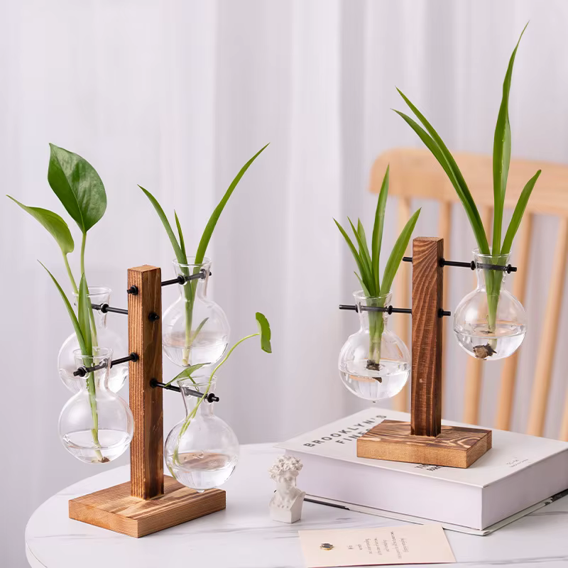 Vase à Plantes de Fleurs Vintage Terrarium