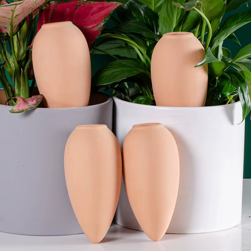 Globes d'arrosage en terre cuite - Insert pour pot auto-arrosant - Dispositifs