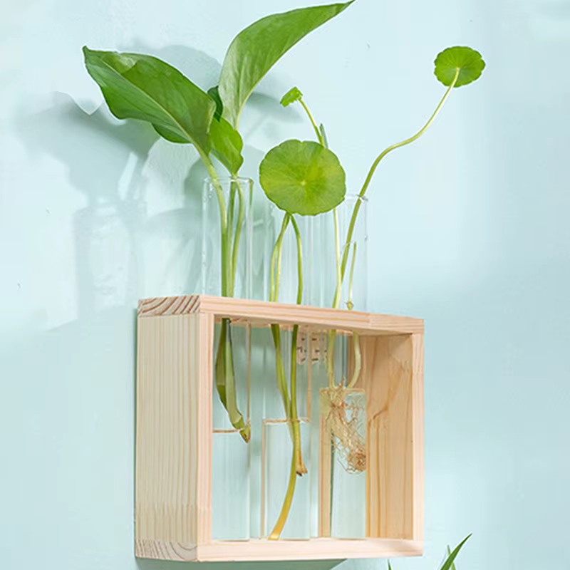 Conteneur de plantes hydroponiques avec cadre en bois