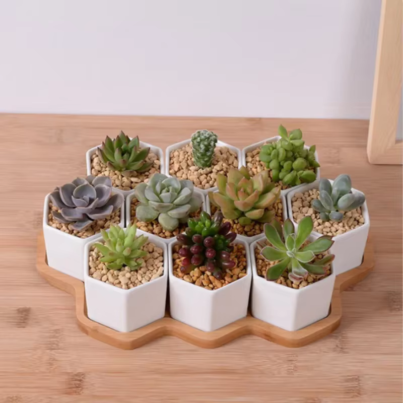 Pot de fleurs hexagonal en céramique blanche avec support en bambou