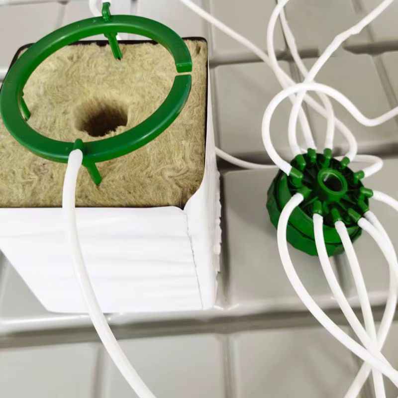 Anneau d'irrigation goutte à goutte pour plantes