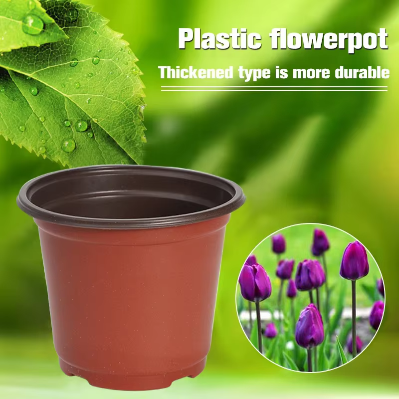 Pots de fleurs en plastique simples