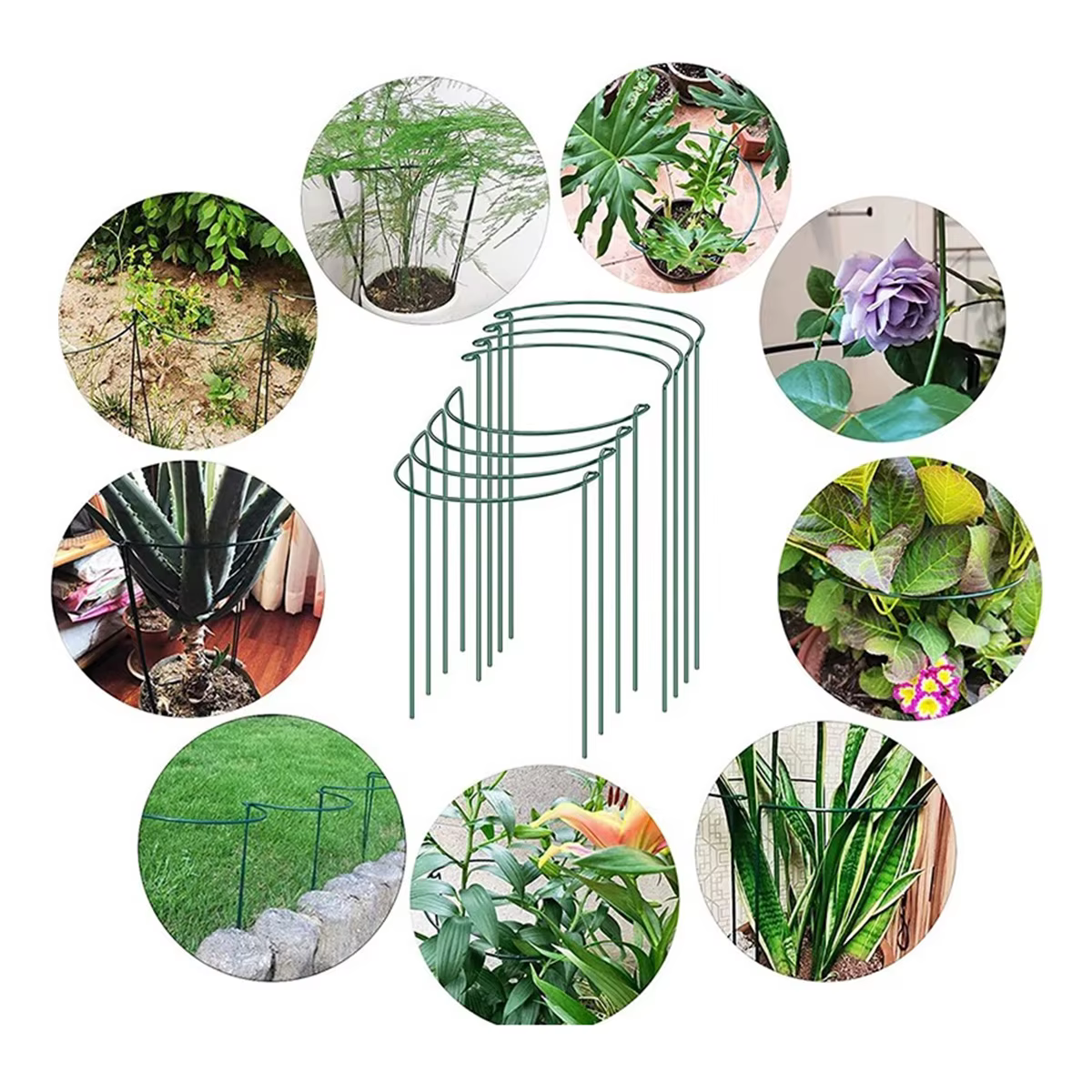 Piquets de Support pour plantes en métal
