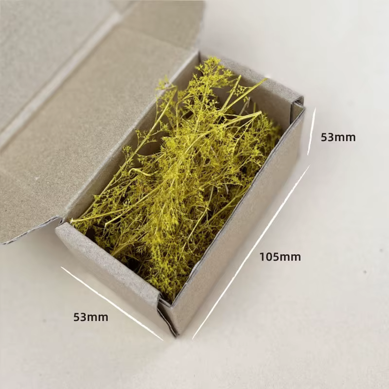 Kit de modèle d'herbe sèche
