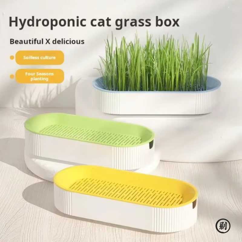 Boîte d'herbe hydroponique pour chat