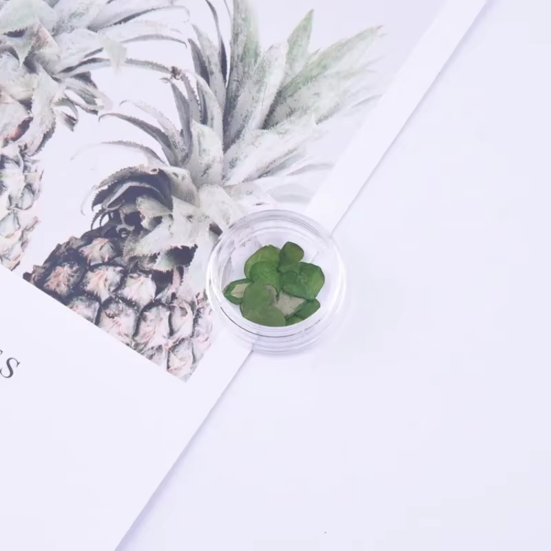 Ensemble de petites fleurs séchées Spirea pour décorations Nail Art