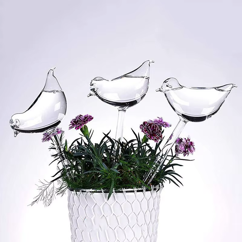 Ampoules d'arrosage automatique pour plantes