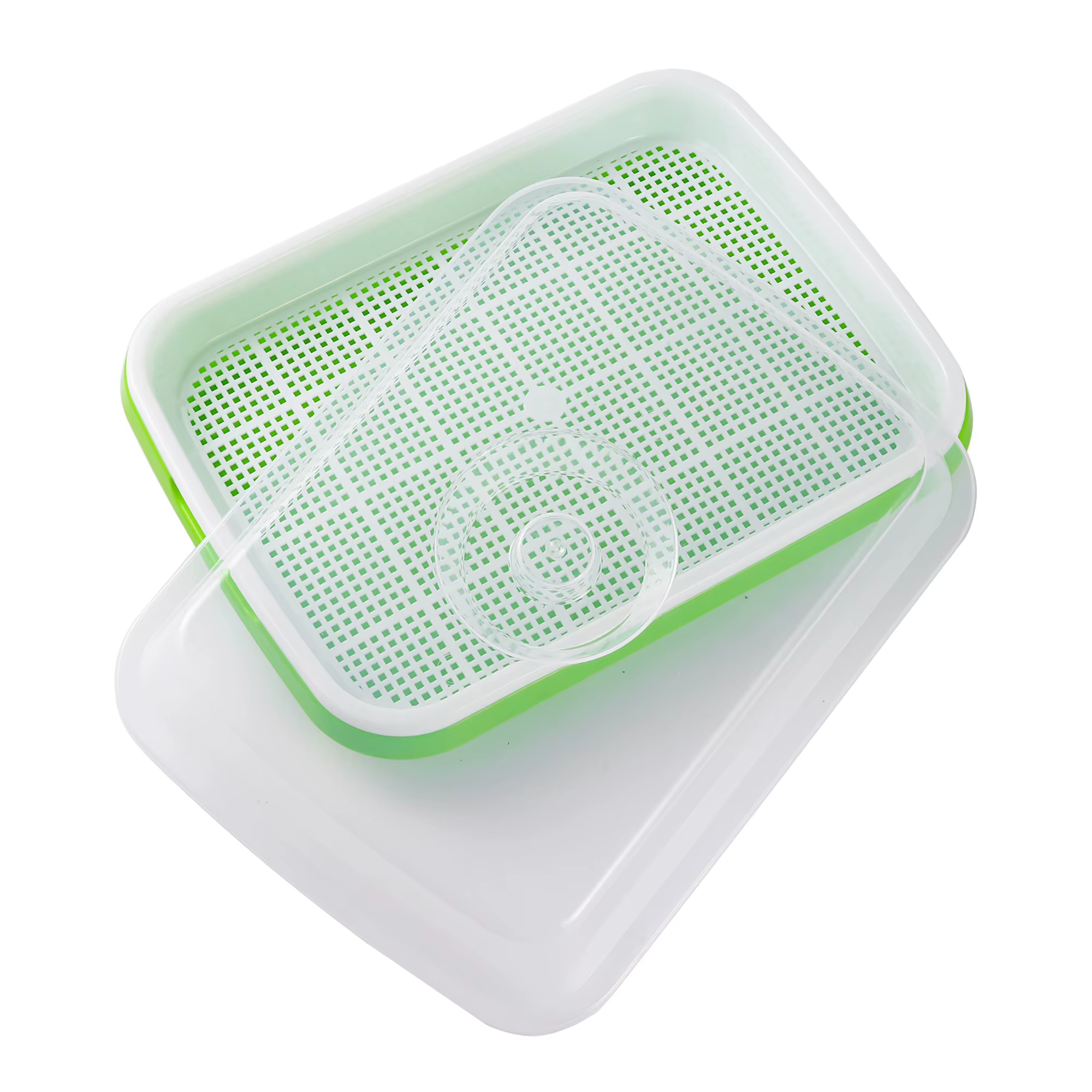 1 ensemble plat de germination Pot de culture hydroponique semis de légumes haricots Pot
