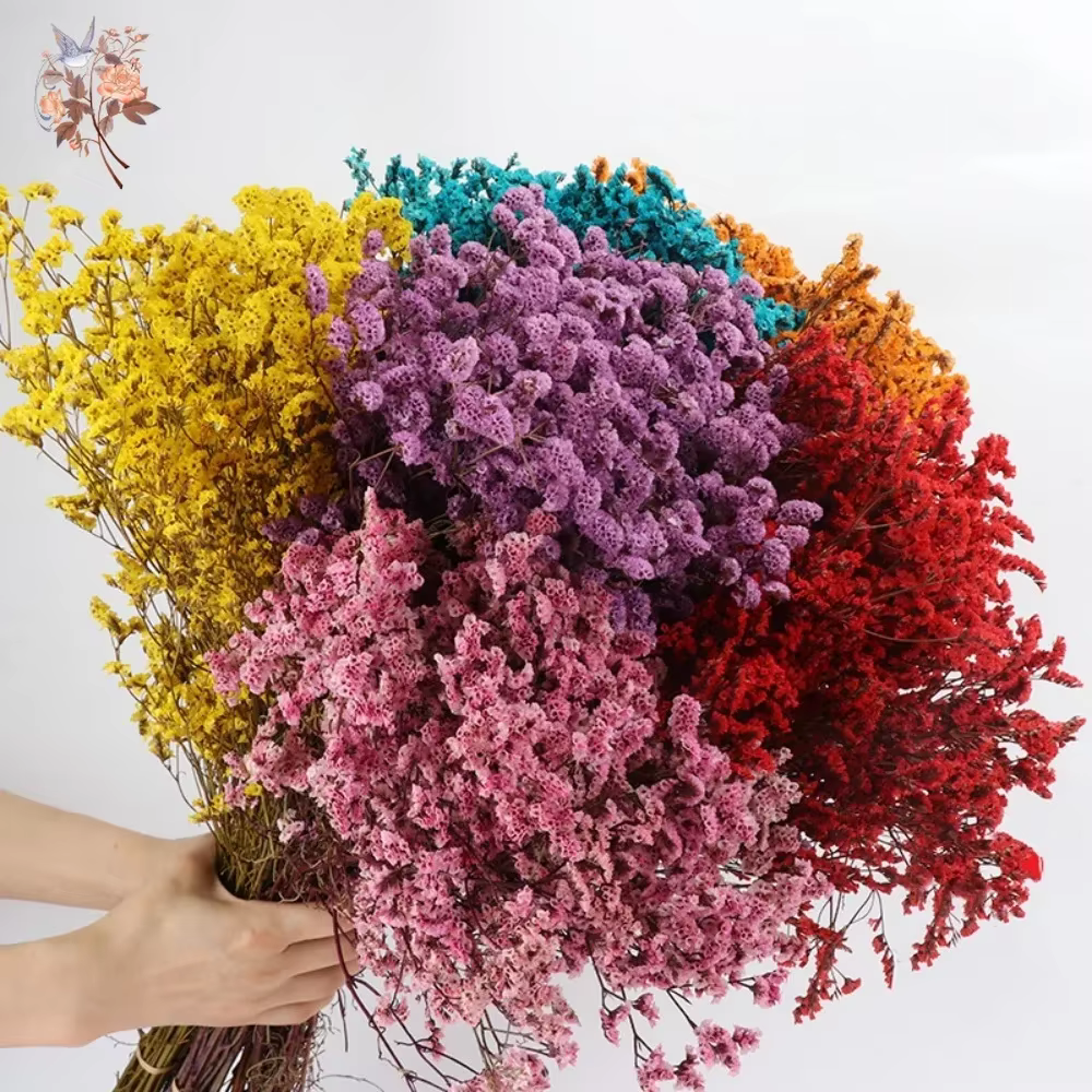 Bouquet de fleurs séchées colorées en herbe de cristal préservée naturelle