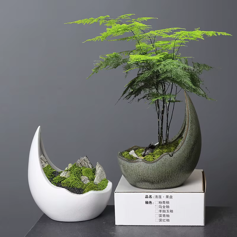 Pot de fleurs en céramique en forme de corne de rhinocéros