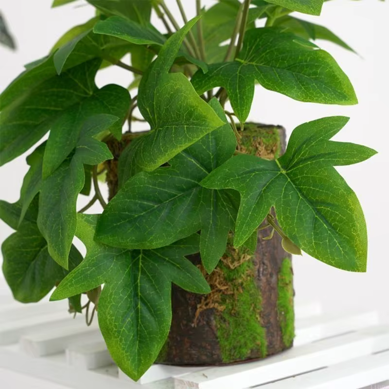Terrarium Plantes artificielles pour les amphibiens reptiles pour le réservoir réaliste tropicale