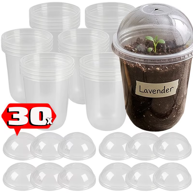 5/30PCS Gobelets transparents pour semis avec couvercles