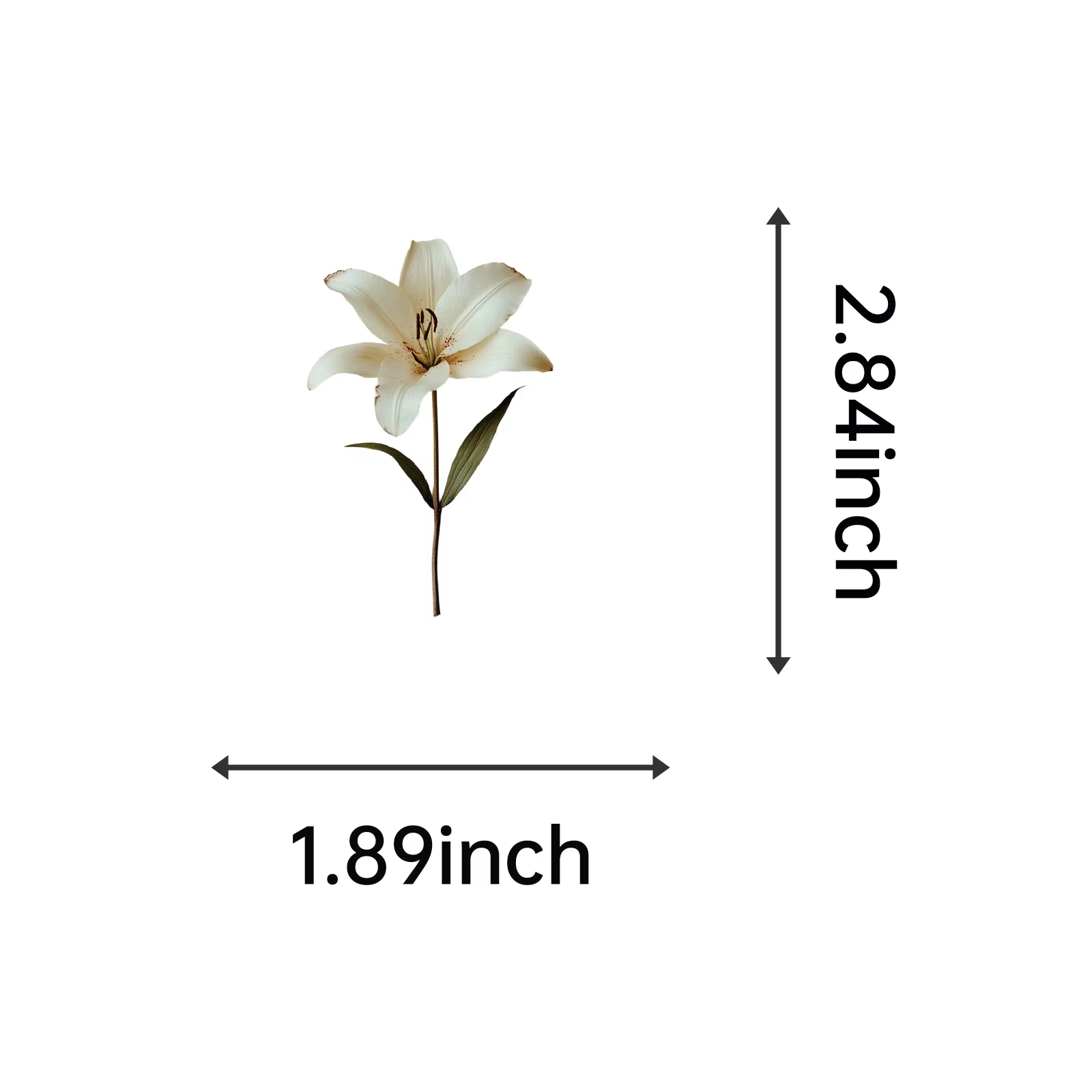 Autocollants de plantes mignons