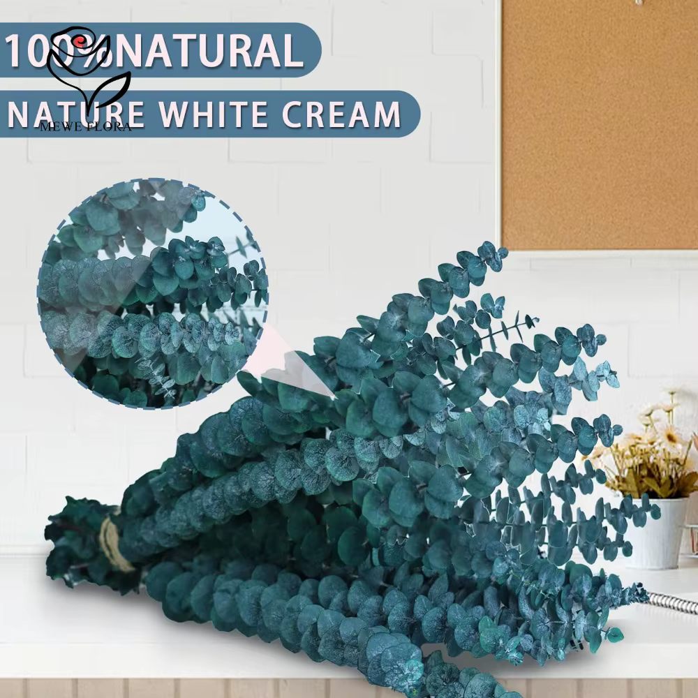 Feuilles d'eucalyptus éternelles pour la décoration intérieure
