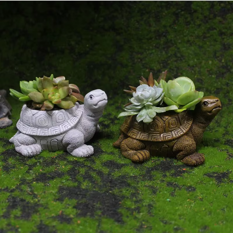 Pot de fleur succulente tortue de dessin animé