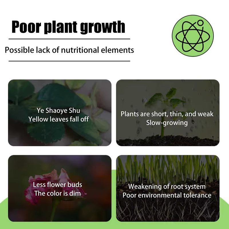 Barres nutritionnelles pour plantes