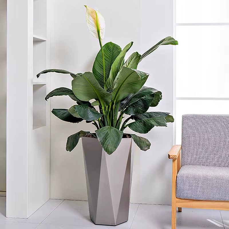 Grand pot de fleur rectangulaire en acier pour l'extérieur et l'intérieur