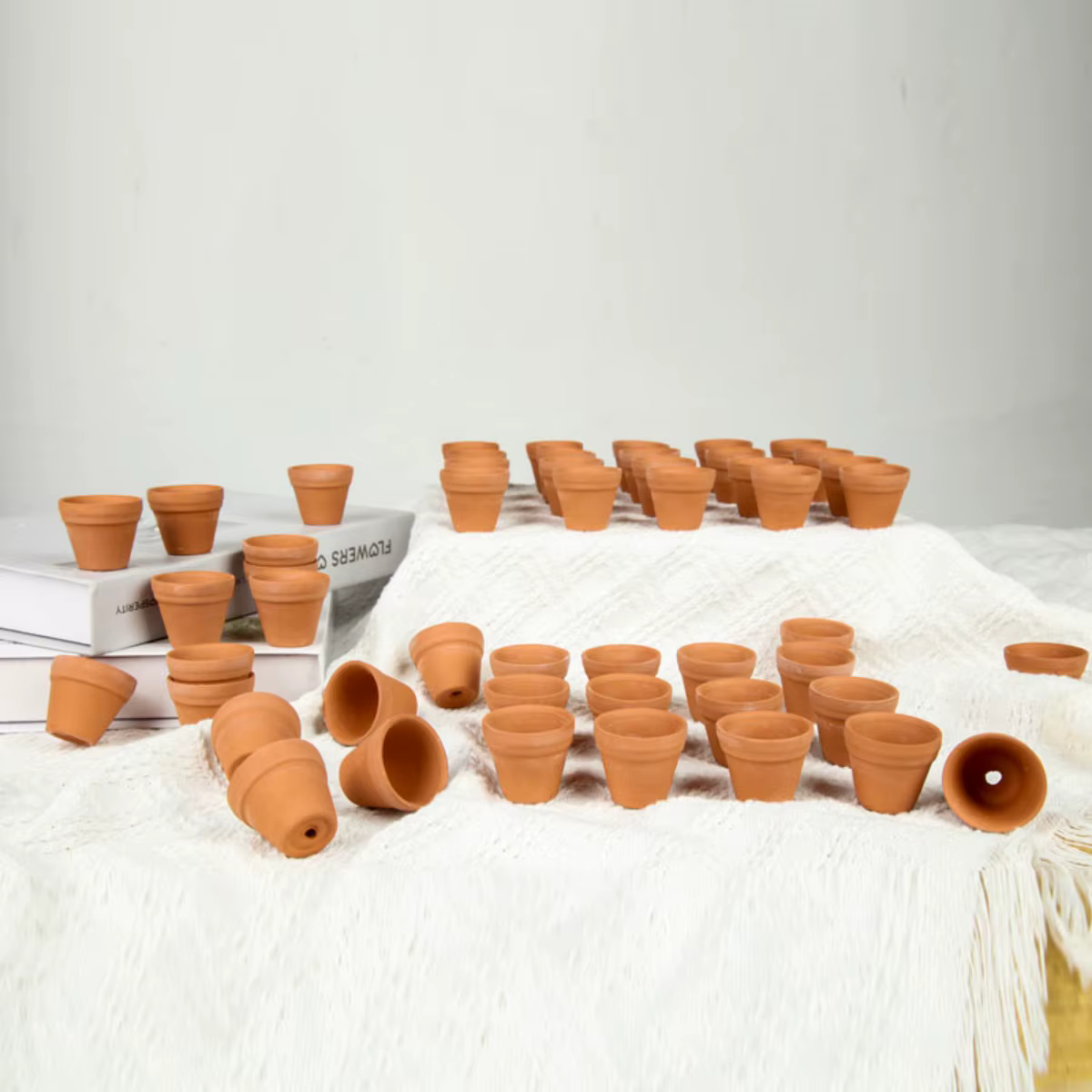 Mini jardinières en terre cuite de 1.3 pouces
