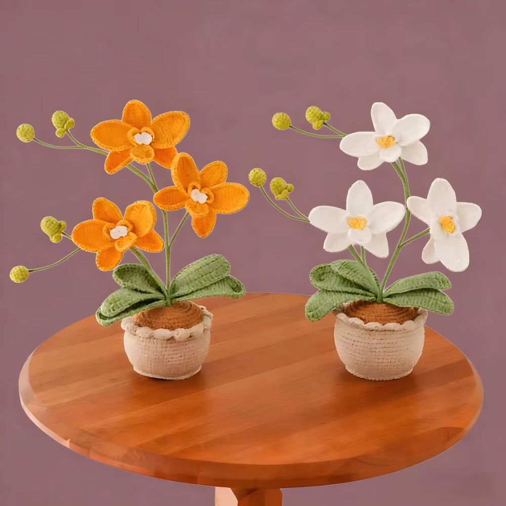 Nouvelle plante en pot en laine