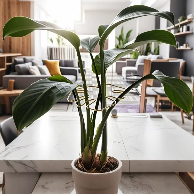 Support de tige de plante