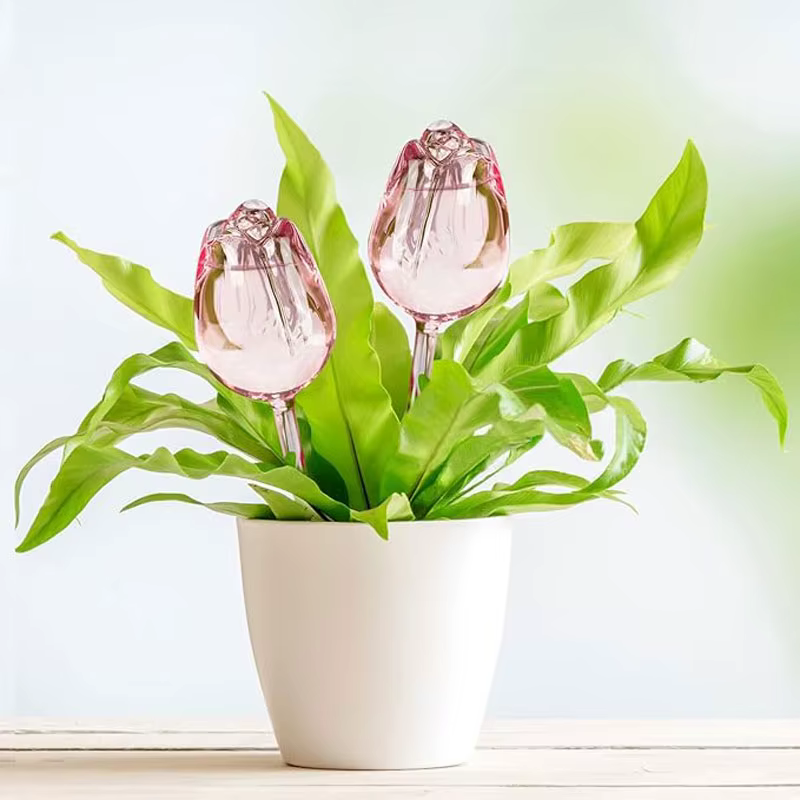 Boule d'arrosage automatique pour plantes de tulipes roses de jardin
