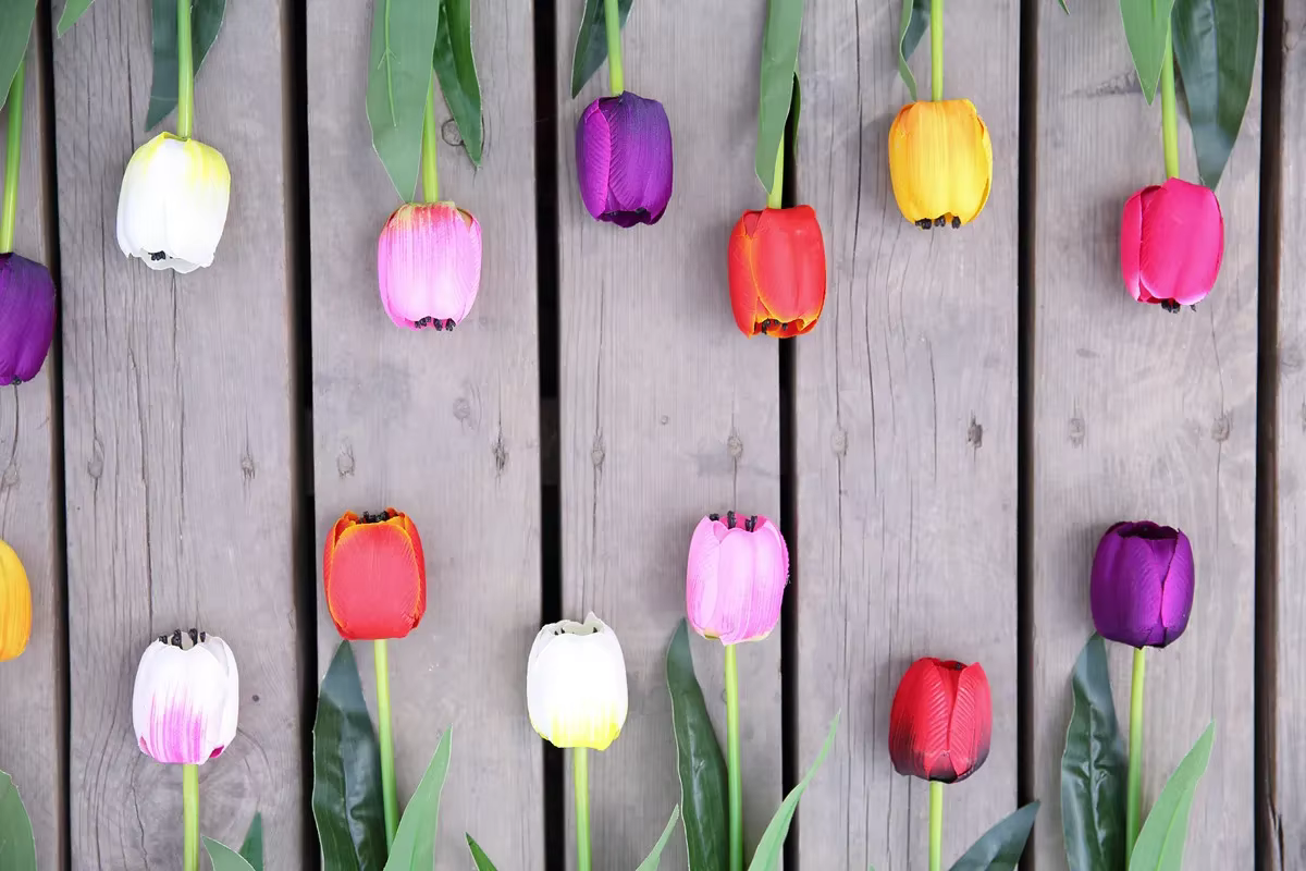 Mini fleur de calla de tulipe au toucher réel