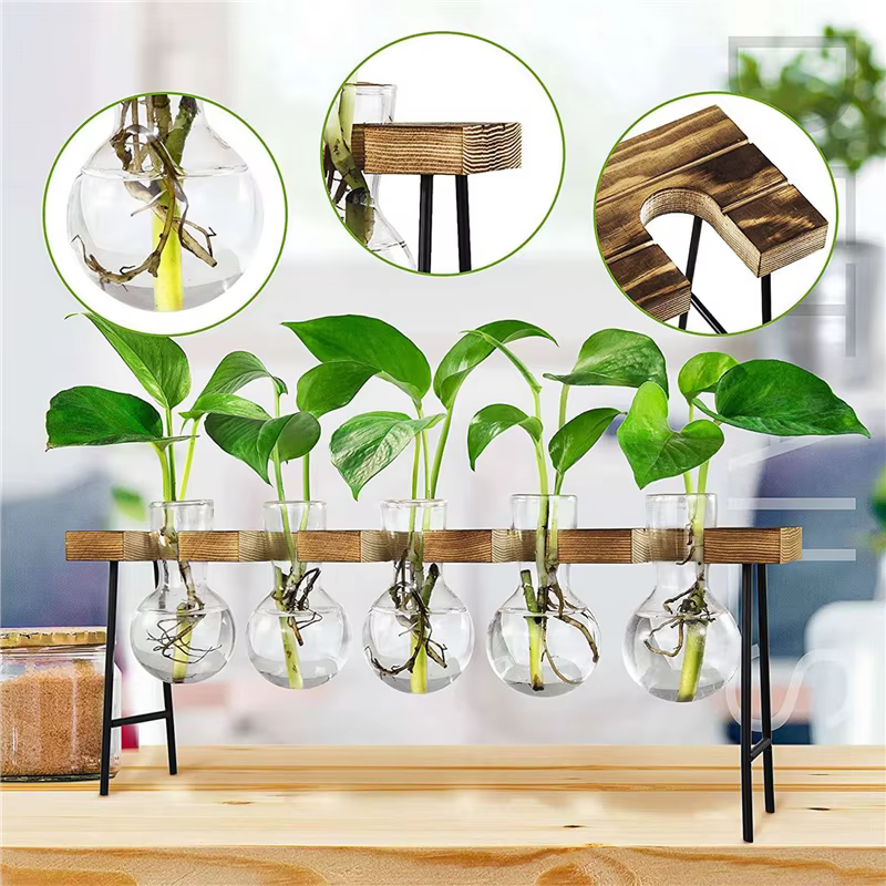 2X Stations de propagation Terrarium de plantes d'air de bureau
