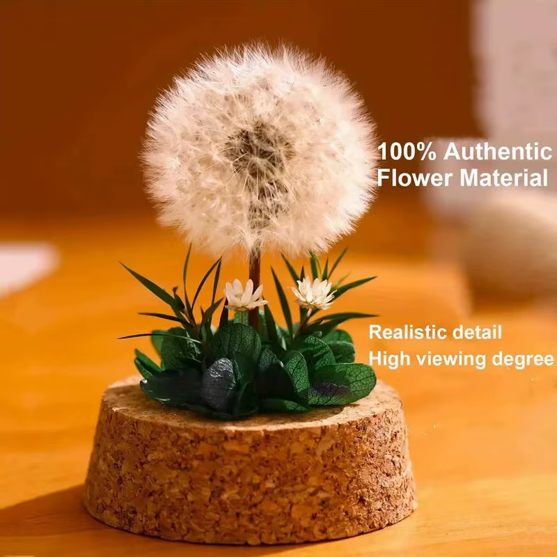 Bouquet de pissenlit séché pour décoration de bureau