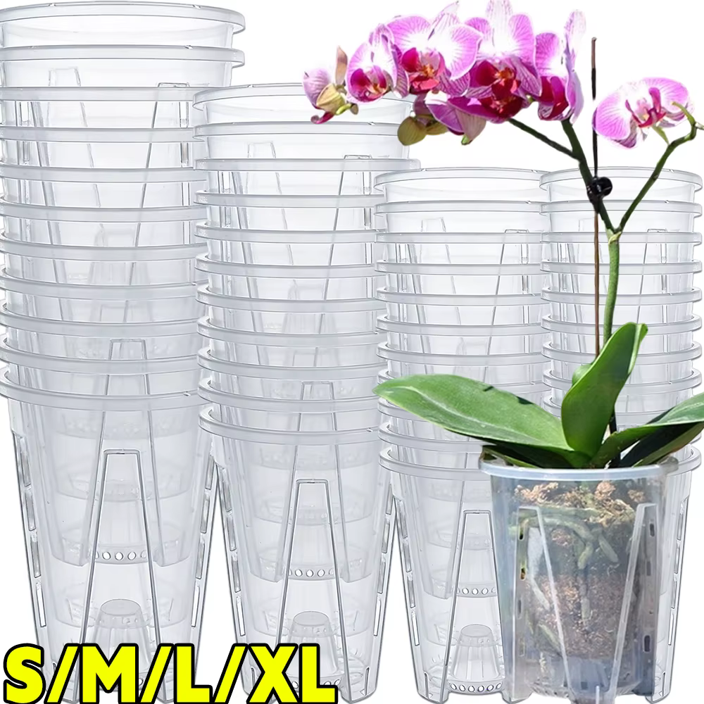 Pots d'orchidées avec stomates