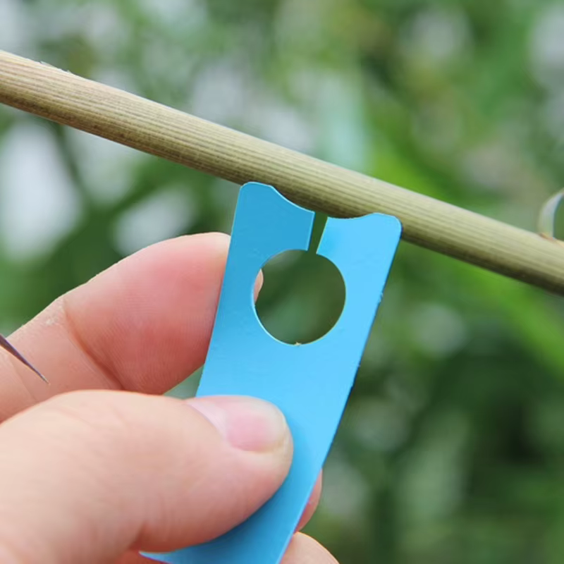 100 étiquettes pour plantes multifonctions
