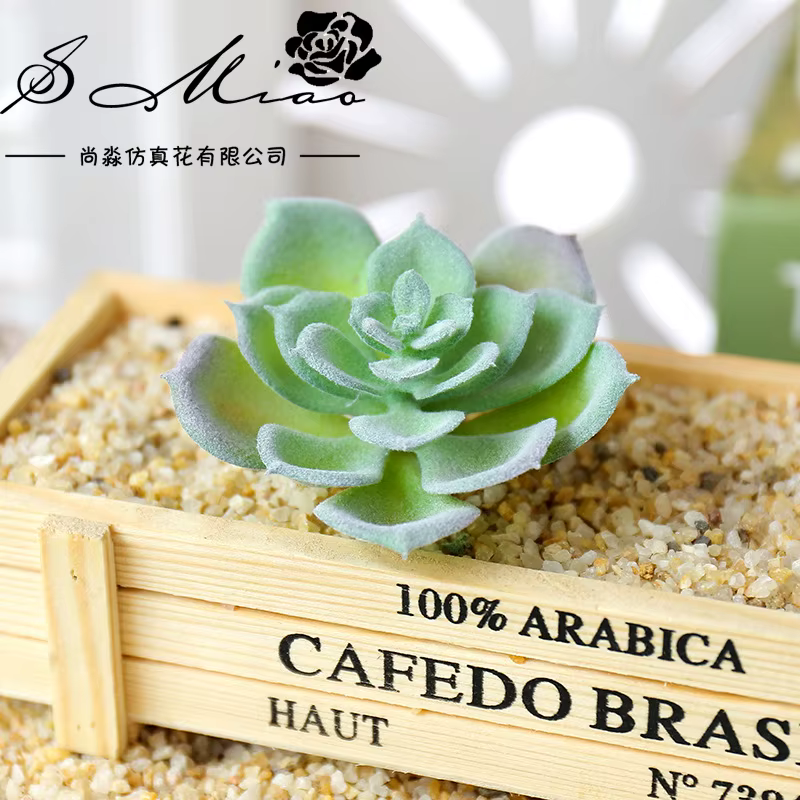 Wusmart – petites plantes succulentes artificielles Shui Lian
