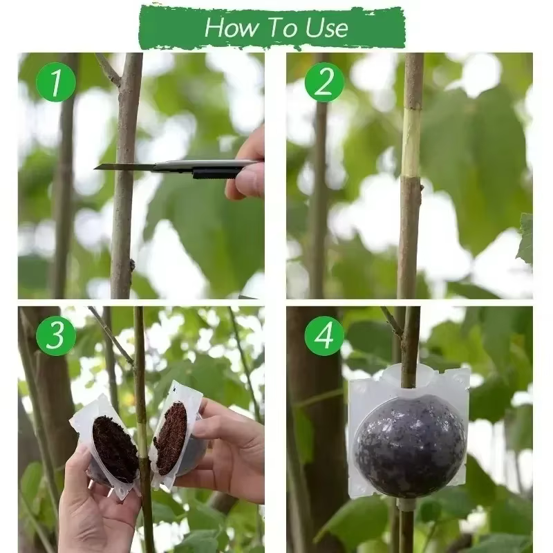 Boule d'enracinement pour plantes