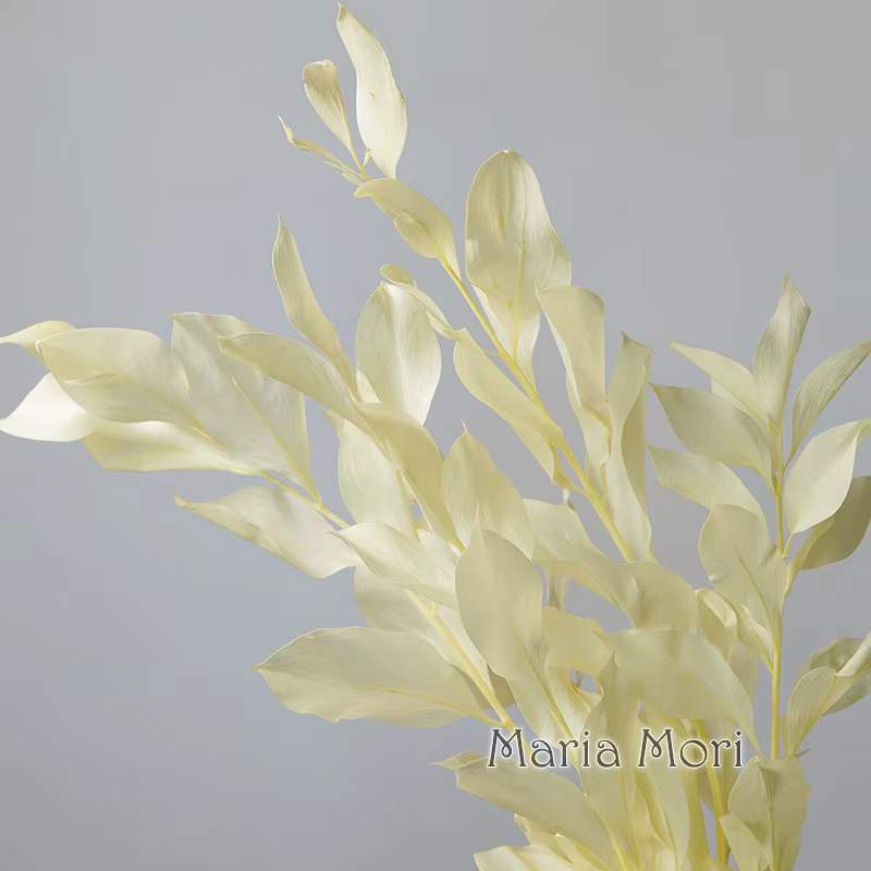 5 pièces/fleur conservée de blanchiment séché feuilles d'orange lys bambou pour arrangement floral fait à la main bureau maison décoration de mariage