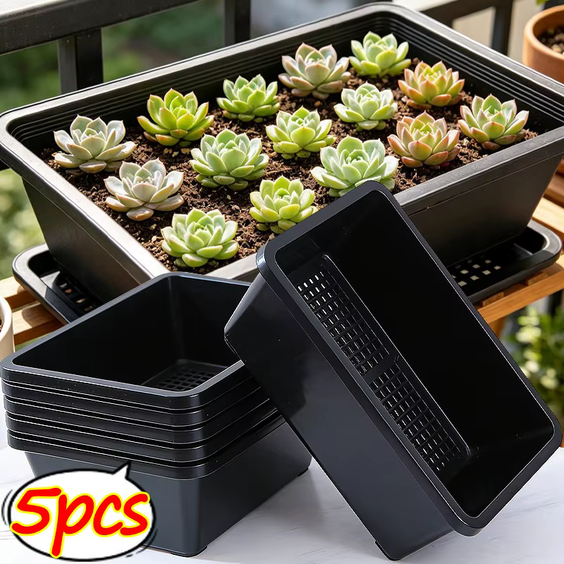 Plateau de semis réutilisable pour plantes succulentes