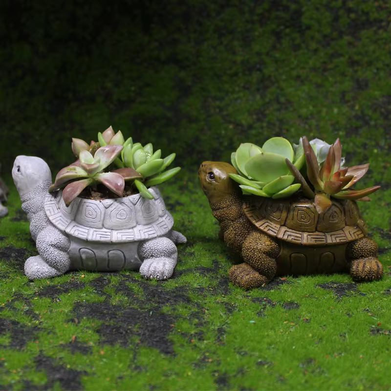 Pot de fleur succulente tortue de dessin animé
