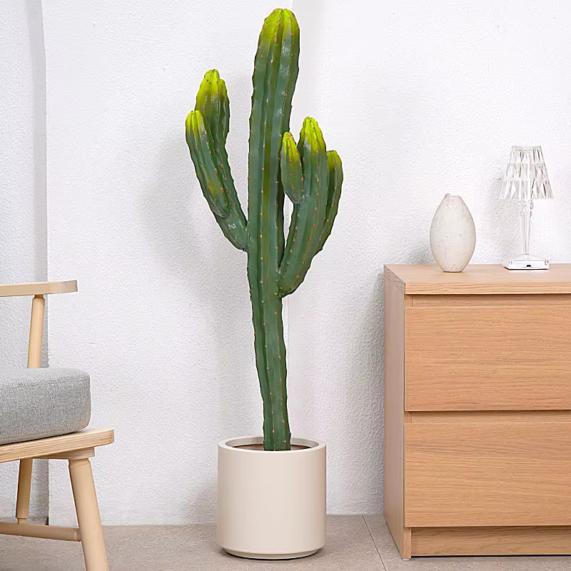 Plante tropicale succulente artificielle avec pot