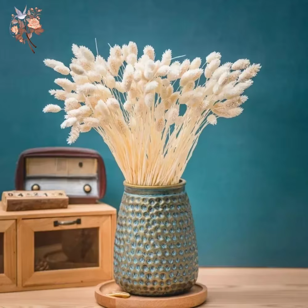 50 pièces de fleurs séchées Phalaris Pampas