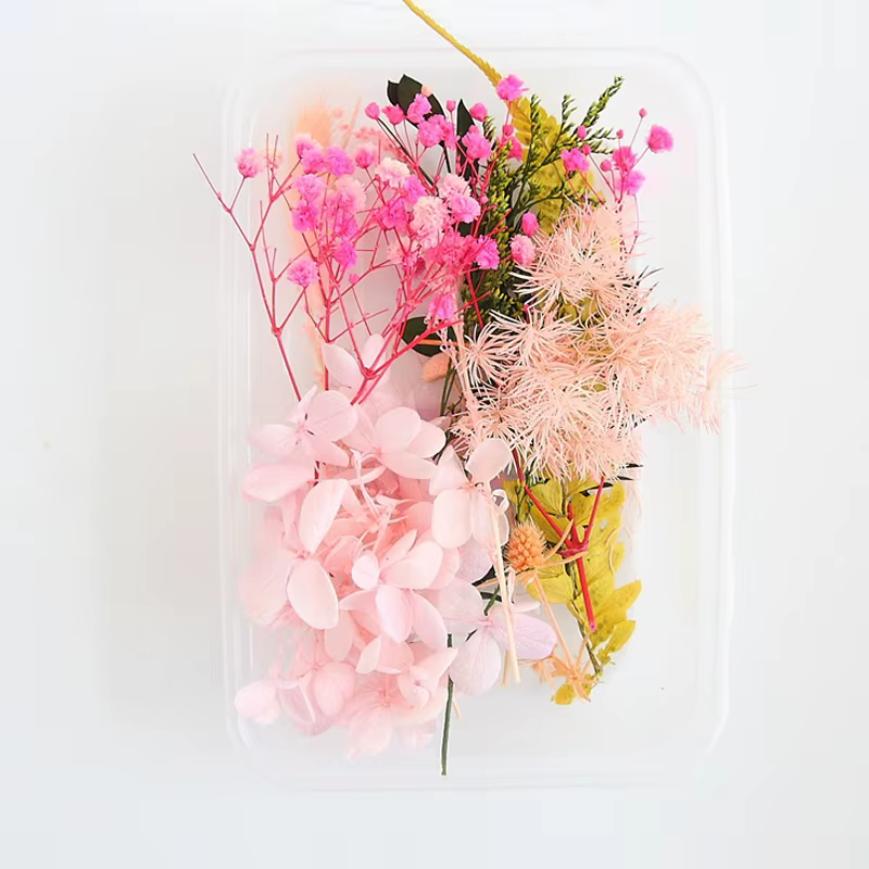 Ensemble de feuilles de fleurs séchées véritables