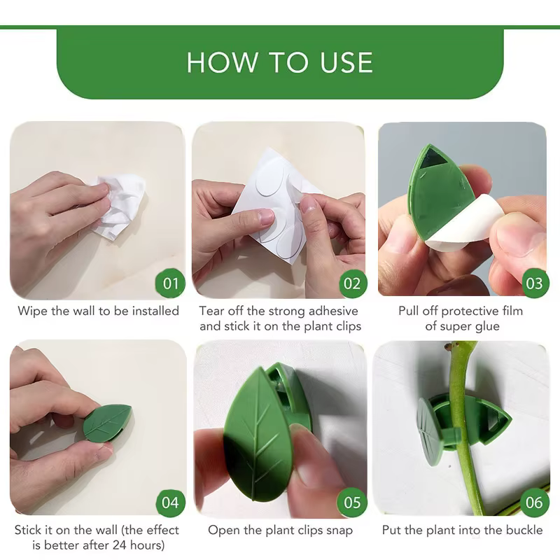 Clips de fixation murale pour plantes grimpantes, autocollant en acrylique, crochet auto-adhésif, support de Traction pour plantes de vigne, décoration intérieure et extérieure