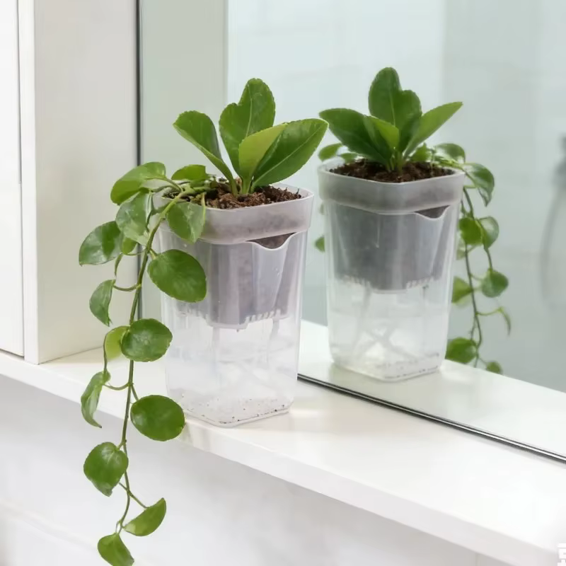 5/1PCS Pots de fleurs auto-arrosants pour semis