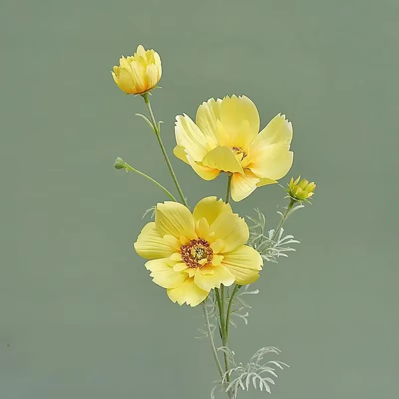 Gesang-Fausse fleur cosmos à branche unique