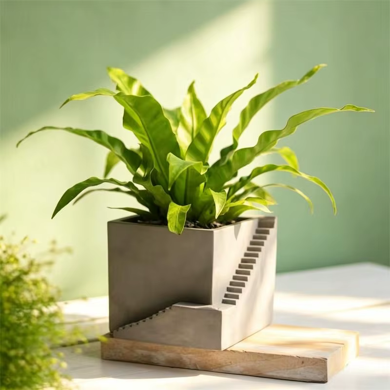 Pot de plantes succulentes en forme d'escalier carré