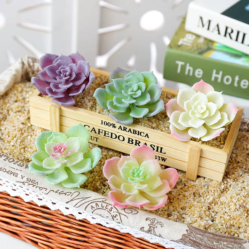 Wusmart – petites plantes succulentes artificielles Shui Lian