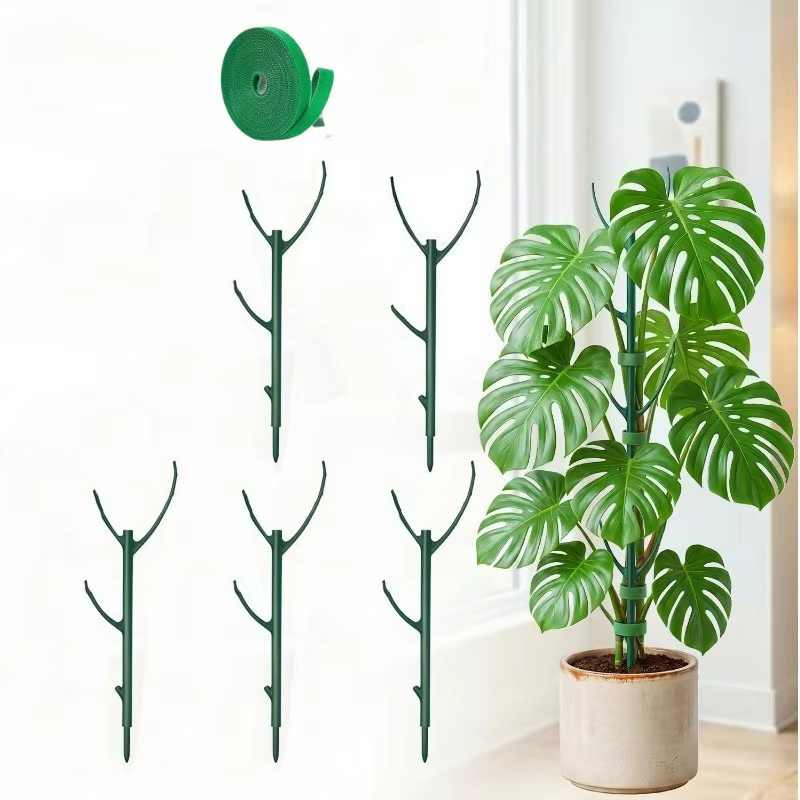 Lot de 6 supports pour plantes Monstera