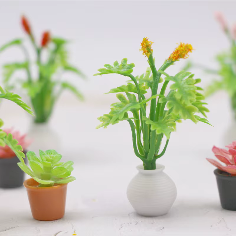 Mini simulation de plante succulente