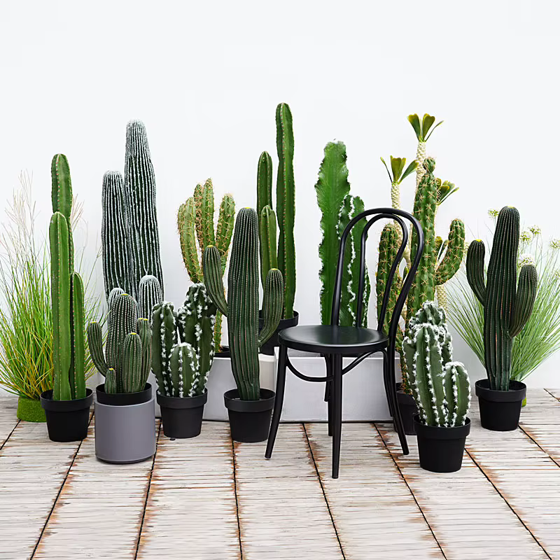 Plante succulente verte tropicale artificielle