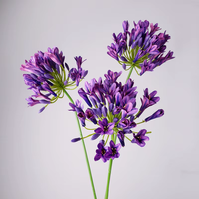 6 pièces de fleurs artificielles en soie bleues Agapanthus