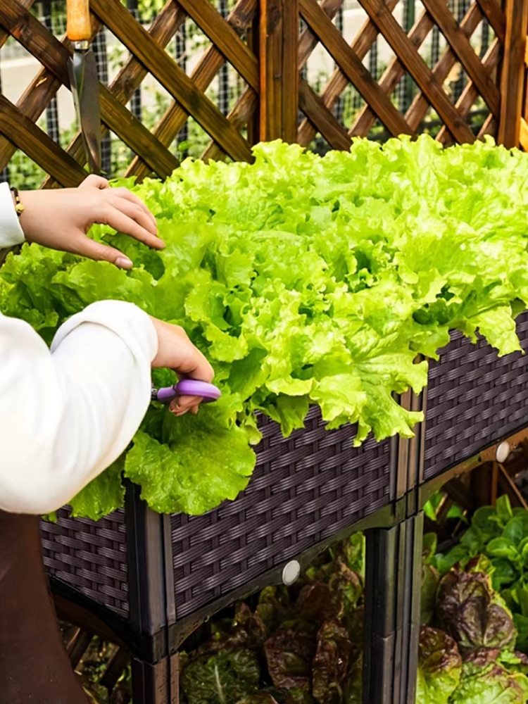 Jardinière surélevée en plastique avec pieds